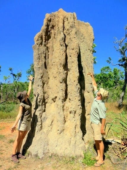 kakadu termite mounds